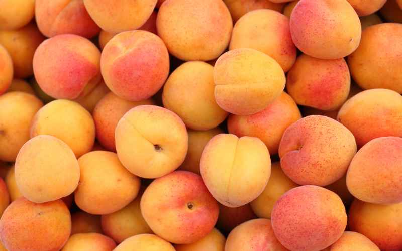 Foods That Begin With A